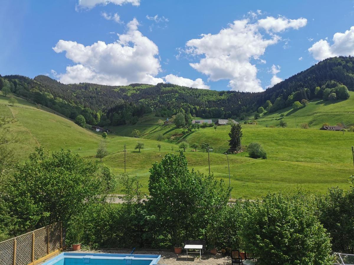 Ferienwohnung Vogelsang Im Schwarzwald Muenstertal Exterior photo