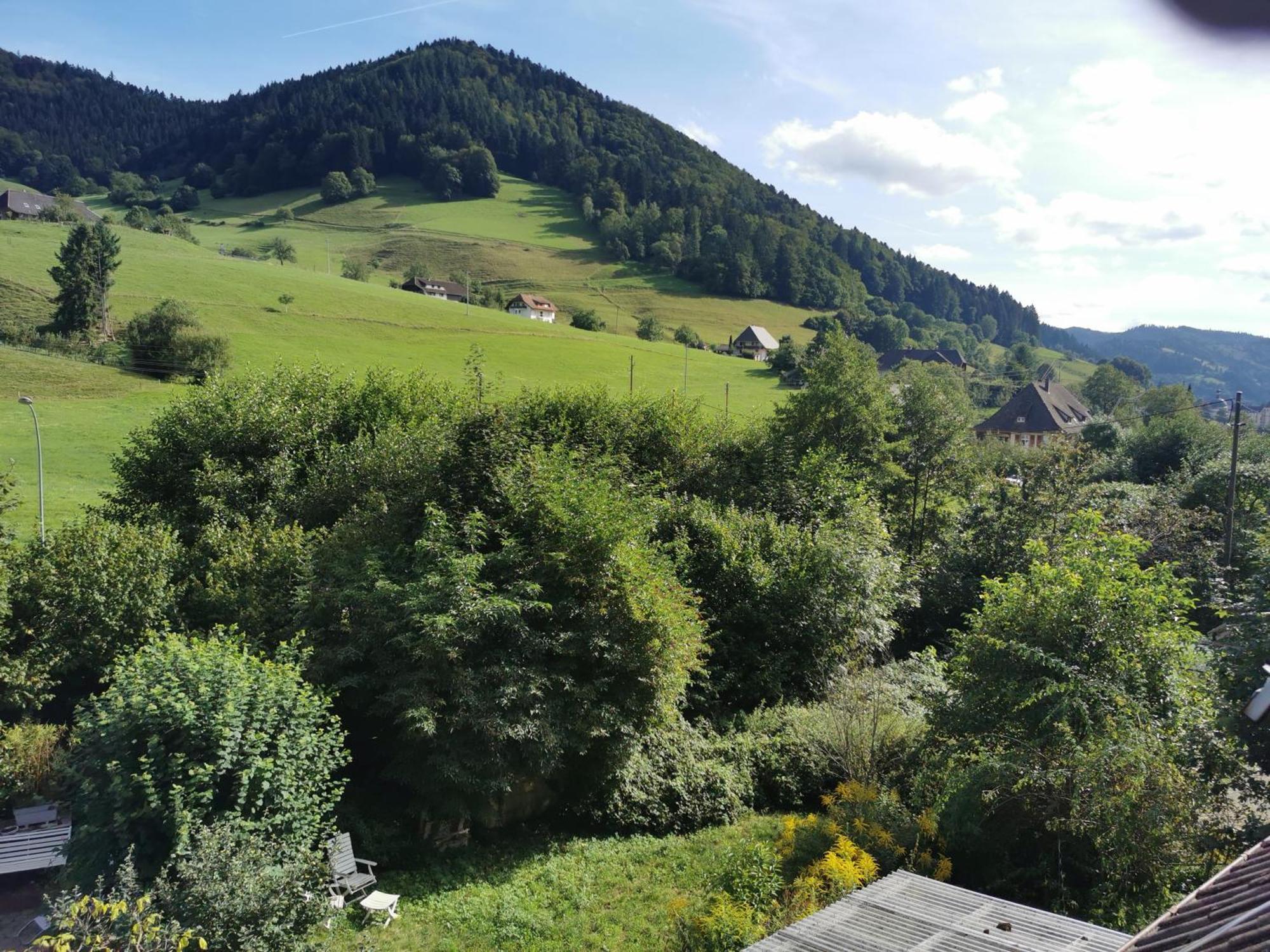 Ferienwohnung Vogelsang Im Schwarzwald Muenstertal Exterior photo